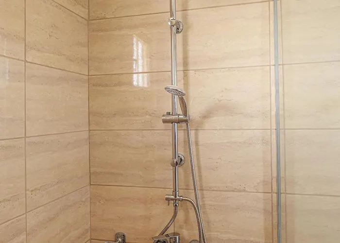 Aneza * 클레마스티